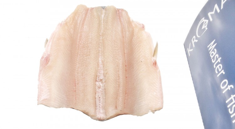 filetmaster-fillet